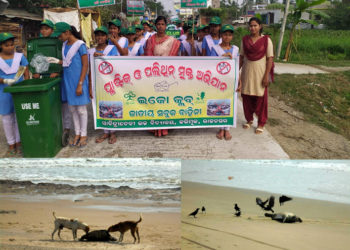 ଗହୀରମଥା ଉପକୂଳରେ ଲାଗୁଛନ୍ତି ମୃତ କଇଁଛ,ଅଣ୍ଡାଦେବା ସମୟରେ କଇଁଛ ମୃତ୍ୟୁକୁ ନେଇ ଚିନ୍ତିତ ପରିବେଶବିତ୍