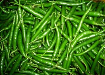 କଞ୍ଚାଲଙ୍କାର ଉପକାରିତା ବିଷୟରେ ଜାଣନ୍ତୁ . . . .