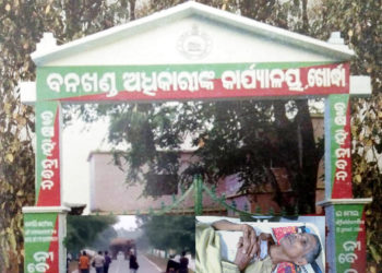 ହାତୀ ଆକ୍ରମଣରେ ଦୁଇଜଣଙ୍କ ଜୀବନ ହାନି :  ଜଣେ ଗୁରୁତ – କୋମାରେ ଖୋର୍ଦ୍ଧା ବନବିଭାଗ