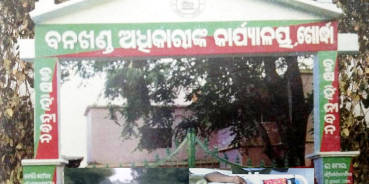 ହାତୀ ଆକ୍ରମଣରେ ଦୁଇଜଣଙ୍କ ଜୀବନ ହାନି :  ଜଣେ ଗୁରୁତ – କୋମାରେ ଖୋର୍ଦ୍ଧା ବନବିଭାଗ