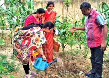 କୋରାଇ ବ୍ଲକପରିସରରେ ବିଡିଓଙ୍କ ଦ୍ୱାରା ଚାରାରୋପଣ