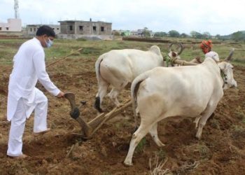 ଅକ୍ଷୟତୃତୀୟାରେ ଅକ୍ଷିମୁଠି ଅନୁକୂଳ କଲେ କୃଷି ମନ୍ତ୍ରୀ ଅରୁଣ ସାହୁ ।