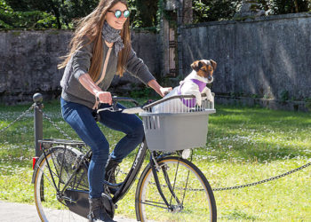 କରୋନା ଫେରାଇଲା ସାଇକେଲର ଯୁଗ , କମିଛି ପ୍ରଦୂଷଣ ଓ ଦୂର୍ଘଟଣା