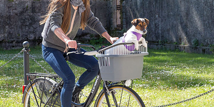 କରୋନା ଫେରାଇଲା ସାଇକେଲର ଯୁଗ , କମିଛି ପ୍ରଦୂଷଣ ଓ ଦୂର୍ଘଟଣା