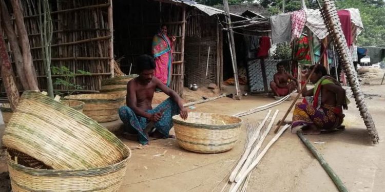 ସଙ୍କଟରେ ବାଉଁଶ କାରିଗର ପୁରୁନି ପେଟ : ଛାଡ଼ି ହେଉନି କୂଳବେଉସା – ହିଞ୍ଜିଳିକାଟୁ