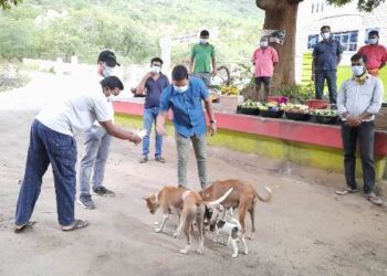 ରଣପୁର ଘଟ ନିର୍ମାଣ ସେବା ସଂଘ ବୁଲା ଜୀବ ଜନ୍ତୁଙ୍କୁ ଖାଦ୍ୟ ବଂଟନ – ରଣପୁର