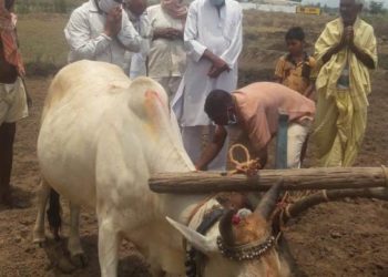 କିଷାନ କଂଗ୍ରେସ ପକ୍ଷରୁ ଅକ୍ଷୟ ତୃତୀୟାରେ ଅକ୍ଷିମୁଠି ଅନୁକୁଳ – ହିଞ୍ଜିଳିକାଟୁ