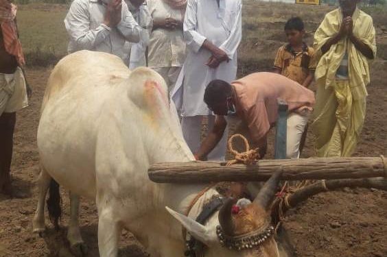 କିଷାନ କଂଗ୍ରେସ ପକ୍ଷରୁ ଅକ୍ଷୟ ତୃତୀୟାରେ ଅକ୍ଷିମୁଠି ଅନୁକୁଳ – ହିଞ୍ଜିଳିକାଟୁ