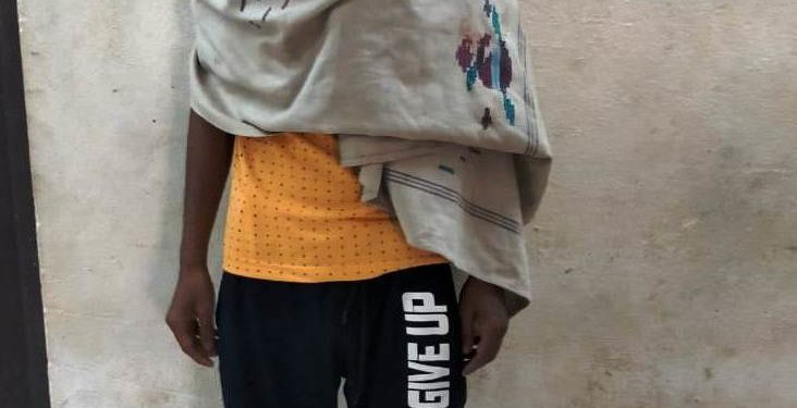 କରୋନା ବିଭିଷିକାରେ ମଧ୍ୟ ବ୍ରାଉନ ସୁଗାର ବ୍ୟବସାୟୀ ଙ୍କୁ ତ୍ରାହି ନାହିଁ – ରଶ୍ମୀରଞନ ଦାସ ଆଇଆଇସି ରଣପୁର ।