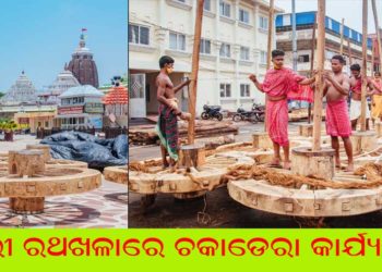 ପୁରୀ ରଥଖଳାରେ ତିନି ରଥର ଗୟଳ ପ୍ରସ୍ତୁତି  କାର୍ଯ୍ୟକ୍ରମ  ଜୋରସୋର ଚାଲିଛି ।