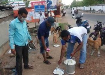 ନୟାଗଡ ଜୀବ ମଙ୍ଗଳ ସମିତିର ଗୄହପାଳିତ ପଶୁ ସେବାକୁ ସାଧାରଣରେ ଚର୍ଚ୍ଚା