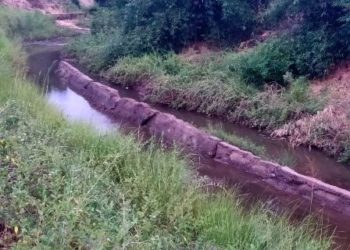 କେନାଲ ଖନନ କାର୍ଯ୍ୟ ନେଇ ଚାଷୀକୁଳ ମଧ୍ୟରେ ତୀବ୍ର ପ୍ରତିକ୍ରିୟା-ହିଞ୍ଜିଳିକାଟୁ