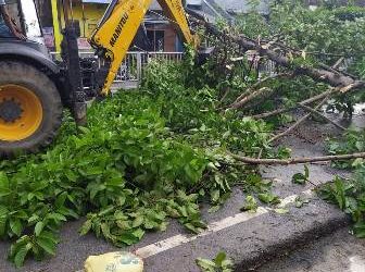 କାଳବୈଶାଖୀ ତାଣ୍ଡବ, ମାଟିରେ ଲୋଟିଲା ବଡ଼ବଡ଼ ଗଛ ଇନଡ଼ୋର ଷ୍ଟାଡ଼ିୟମ ଗ୍ଳାସୱାଲ ଓ ଟାଇଲ ଭଙ୍ଗିଲା ହିଞ୍ଜିଳିକାଟୁ