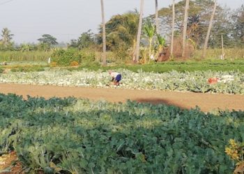 ଅସହାୟ ଶ୍ରମିକଙ୍କୁ ସହାୟତାର ହାତ ବଢାଇଲା ହିଞ୍ଜିଳି ପୁଲିସ ପ୍ରଶାସନ – ହିଞ୍ଜିଳିକାଟୁ