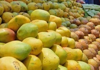 ବଜାରରେ ବଢୁଛି ଆମ୍ବର ଚାହିଦା : ଆମ୍ବରେ ରସ ନୁହେଁ ବିଷ –  ହିଂଜିଳିକାଟୁ