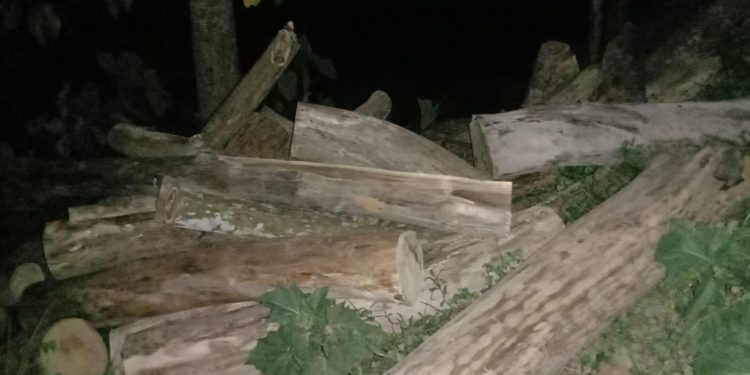 ମାହାଙ୍ଗା ତହସିଲ ଅଂଚଳରେ ବଢୁଛି ବେଆଇନ ଗଛ କଟା ଓ ମାଟି ଚାଲାଣ, କଟକ