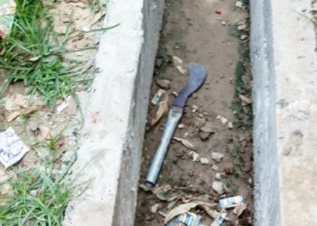 ପୁଅର କଟୁରୀ ଆକ୍ରମଣରେ  ମା ବାପା  ଗୁରୁତର ଆହତ