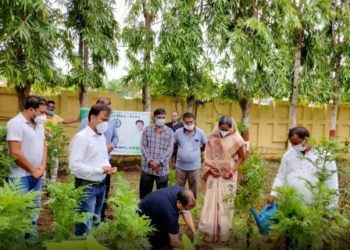 ବିଧାୟକ ଶ୍ରୀ ପ୍ରଣବ ପ୍ରକାଶ ଦାସ (ବବି) ଙ୍କ ଜନ୍ମ ଦିବସ ଅବସରରେ ଅଶୋକ ଦାସ ଫାଉଣ୍ଡେସନ ତରଫରୁ ବୃକ୍ଷରୋପଣ କାର୍ଯ୍ୟକ୍ରମ ଓ ରକ୍ତଦାନ ଶିବିର ଆୟୋଜିତ