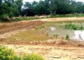 ଶ୍ରମିକ ପେଟକୁ ଲାତ ମନରେଗା କାର୍ଯ୍ୟ ମେସିନ୍ କରୁଥିବା ନେଇ ବିଡିଓଙ୍କ ନିକଟରେ ଅଭିଯୋଗ – କୋରାଇ