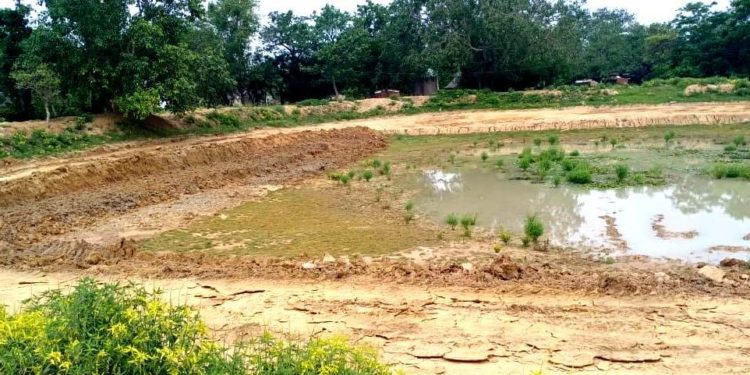 ଶ୍ରମିକ ପେଟକୁ ଲାତ ମନରେଗା କାର୍ଯ୍ୟ ମେସିନ୍ କରୁଥିବା ନେଇ ବିଡିଓଙ୍କ ନିକଟରେ ଅଭିଯୋଗ – କୋରାଇ