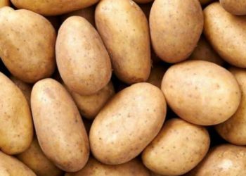 ଆଳୁ ଦର ୨୦ ଟଙ୍କା ଥିଲା ହଠାତ୍ ୩୦ ଟଙ୍କା ବଢ଼ିଲା – ବାଲେଶ୍ଵର