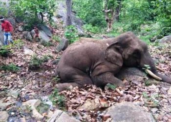 ଦନ୍ତାହାତୀ ର ମୃତ ଦେହ ଠାବ କରିଛନ୍ତି ଗ୍ରାମବାସୀ