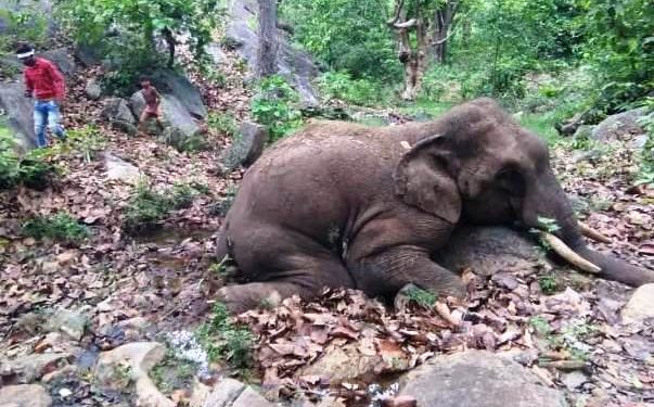 ଦନ୍ତାହାତୀ ର ମୃତ ଦେହ ଠାବ କରିଛନ୍ତି ଗ୍ରାମବାସୀ