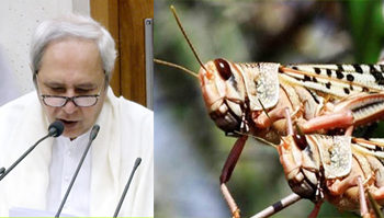 ମୁଖ୍ୟମନ୍ତ୍ରୀଙ୍କ କାର୍ଯ୍ୟାଳୟରେ ପଙ୍ଗପାଳ ଉପଦ୍ରବ ସମ୍ପର୍କରେ ଏକ ଉଚ୍ଚସ୍ତରୀୟ ବୈଠକ