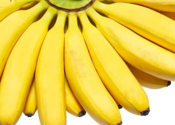 ପୋୖଷ୍ଟିକ ଆହାର କଦଳୀ … ଜାଣନ୍ତୁ କଦଳୀ ର ଔଷଧିକ ଗୁଣ