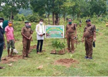 ମହେନ୍ଦ୍ର ଗିରି ବନାଞ୍ଚଳ ପକ୍ଷରୁ ୭୧ତମ ବନ ମହୋତ୍ସବ  ପାଳନ