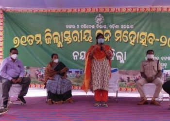 ନୟାଗଡରେ 71 ତମ ବନମହୋତ୍ସବ ପାଳିତ