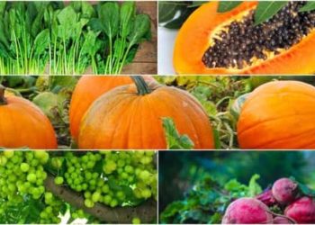 ଆପଣଙ୍କ ଶରୀରରେ  ପ୍ଲେଟଲେଟ୍ସ ମାତ୍ରା ବୃଦ୍ଧି କରିବା ପାଇଁ