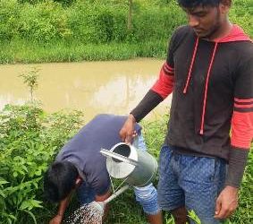 ବରଗଡ଼ ଯୁବକ ମାନଙ୍କ ଦ୍ଵାରା ବୃକ୍ଷ ରୋପଣ