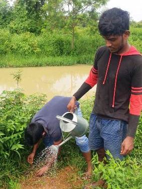 ବରଗଡ଼ ଯୁବକ ମାନଙ୍କ ଦ୍ଵାରା ବୃକ୍ଷ ରୋପଣ
