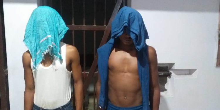 ଗଞ୍ଜେଇ ଚୋରା ଚାଲାଣ ହେଉଥିଲା ବେଳେ ଦୁଇ ଜଣଙ୍କୁ ଗିରଫ କଲା ପୁଲିସ