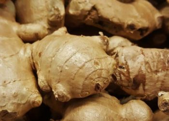 ଜାଣନ୍ତୁ ଅଦା ଶରୀର ପାଈଁ କି କାର୍ଯ୍ୟ କରେ