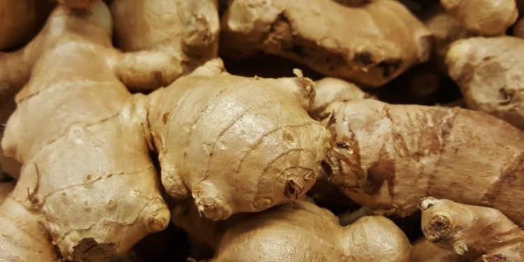 ଜାଣନ୍ତୁ ଅଦା ଶରୀର ପାଈଁ କି କାର୍ଯ୍ୟ କରେ