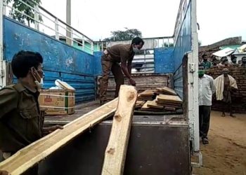 ବନ ବିଭାଗ ଦ୍ବାରା ସାଗୁଆନ ପଟ୍ଟା ଜବତ : ଯାହାର ଆନୁମାନିକ ମୂଲ୍ୟ ୪୦ ରୁ ୫୦ ହଜାର ଟଙ୍କା ହେବ