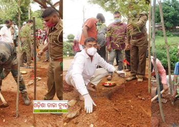 ରଣପୁରରେ ୭୧ ତମ ବନମହୋତ୍ସବ ସପ୍ତାହରେ ବୃକ୍ଷ ରୋପଣ ।।
