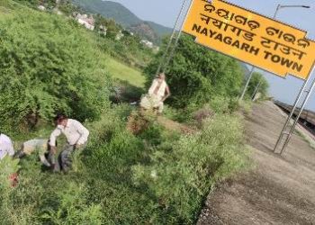 ଭାରତ ବିକାଶ ପରିଷଦ ନୟାଗଡ ଶାଖା ପକ୍ଷରୁ ତାଳ ଗଛ ରୋପଣ