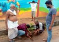 ମା’ଫାଉଣ୍ଡେସନର ସାହି ସବୁଜିମା କାର୍ଯ୍ୟକ୍ରମ ଅନୁଷ୍ଠିତ – ନୟାଗଡ଼