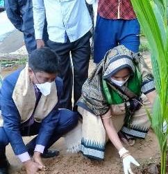ପ୍ରଥମଖଣ୍ଡି ଗ୍ରାମପଞ୍ଚାୟତ ରେ ଏମ. ଜି.ନ.ରେ.ଗା ଯୋଜନା ମାଧ୍ୟମରେ ବୃକ୍ଷ ରୋପଣ କାର୍ଯ୍ୟକ୍ରମ