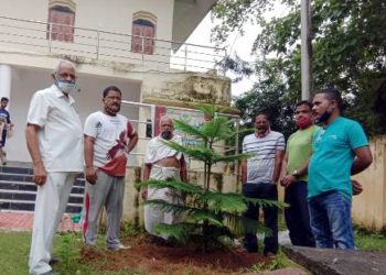 ନୟାଗଡରେ ୱାର୍ଡନଁ ୩ରେ ମା’ ଫାଉଣ୍ଡେସନ ପକ୍ଷରୁ “ସହି ସବୁଜିମା” କାର୍ଯ୍ୟକ୍ରମ ଅନୁଷ୍ଠିତ