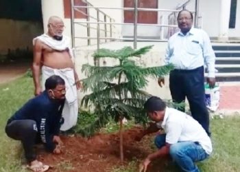 ମା’ ଫାଉଣ୍ଡେସନ୍ , ନୟାଗଡ଼ ତରଫରୁ  ”  ସାହି ସବୁଜିମା ” କାର୍ଯ୍ୟକ୍ରମ