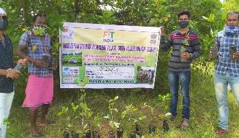 ବୃକ୍ଷ ରୋପଣ କାର୍ଯ୍ୟକ୍ରମ ଅନୁଷ୍ଠିତ – କଳାହାଣ୍ଡି