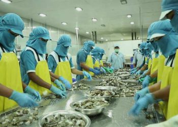 ଏକ ଜିଲ୍ଲା ଏକ ଉତ୍ପାଦ’ ଯୋଜନାରେ ଓଡ଼ିଶାରେ ଆରମ୍ଭ ହେବ ; କ୍ଷୁଦ୍ର ଖାଦ୍ୟ ପ୍ରକ୍ରିୟାକରଣ ଉଦ୍ୟୋଗ – ଭୁବନେଶ୍ୱର