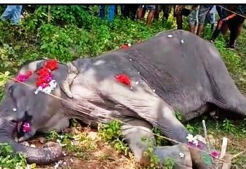 ଝାଡଖଣ୍ଡ ଜଙ୍ଗଲରୁ ଆସିଥିବା ମା ହାତୀ ଆଖି ବୁଜିଲା, ଅନ୍ତିମ ସଂସ୍କାର କଲେ ଗ୍ରାମବାସୀ