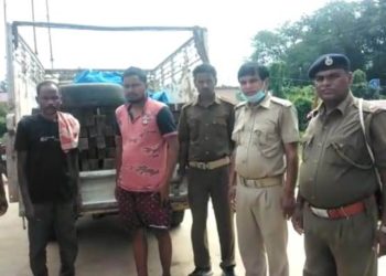 କାଠ ବୋଝେଇ ପିକପ ଭ୍ୟାନ ସହିତ ଦୁଇ ଜଣ ଗିରଫ ପରେ କୋର୍ଟ ଚାଲାଣ