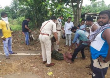 ବସ୍ ଧକ୍କା ରେ ସାଇକେଲ ଆରୋହୀ ଗୁରୁତର