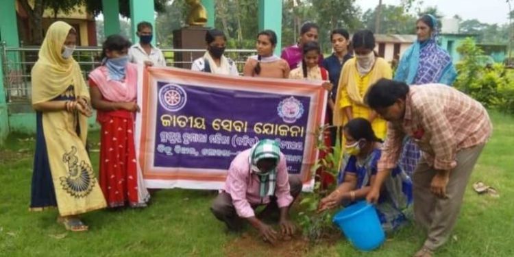 ଜାତୀୟ ସେବା ଶିବିର ତରଫରୁ ବୃକ୍ଷରୋପଣ